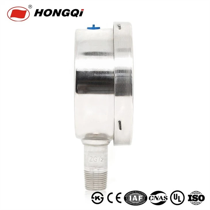 316 Stainless Steel Anti-Sulfur Pressure Gauge Bottom Connection