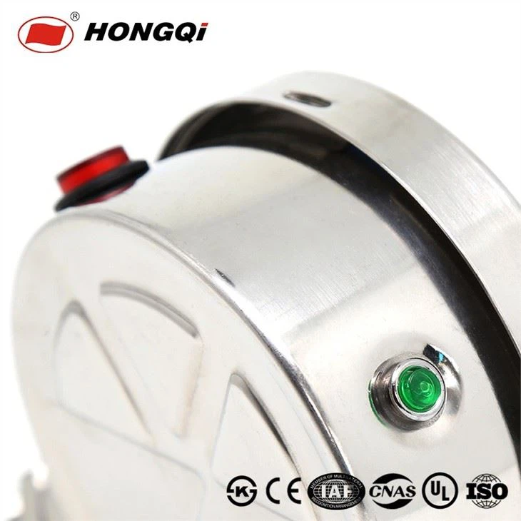 Hongqi Full Stainless Steel Vacuum Pressure Gauge